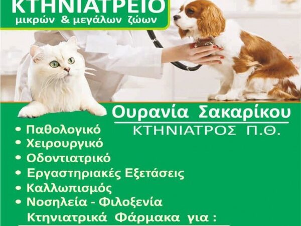 image not found