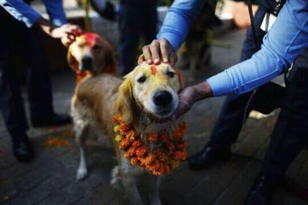 Φεστιβάλ αφιερωμένο στον καλύτερο φίλο του ανθρώπου